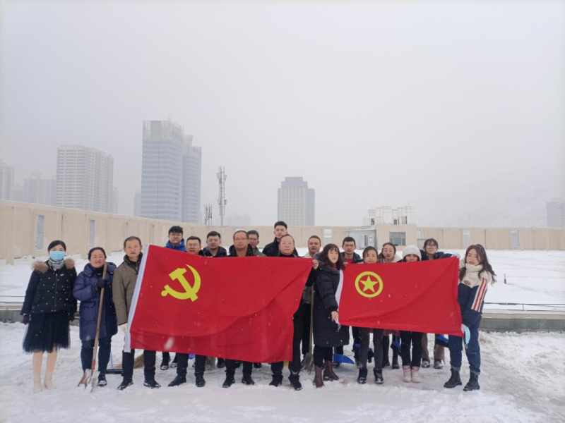 黨團齊發(fā)力 除雪在一線&mdash;&mdash;現(xiàn)代物流公司黨支部開展除雪保安全活動
