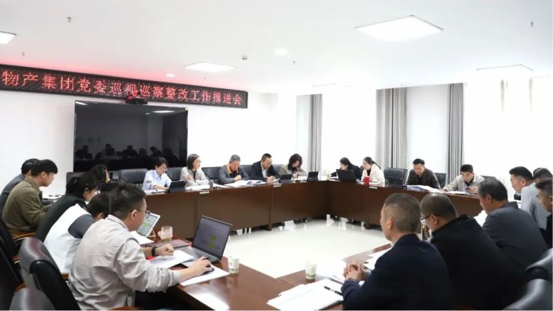 集團(tuán)黨委召開巡視巡察整改工作推進(jìn)會(huì)