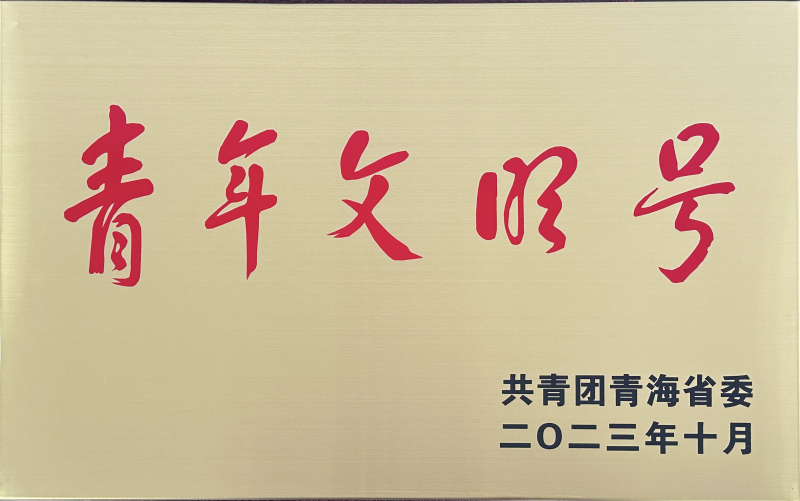 青海省臨空經(jīng)濟(jì)區(qū)開發(fā)投資有限公司榮獲 &ldquo;第21屆青海青年文明號(hào)&rdquo;
